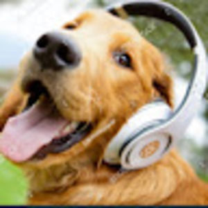 Meet your Posher, Cyndi